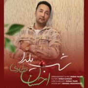 دانلود آهنگ جدید احسان طاری شب یلدا